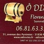 Odixvins